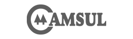 Camsul - Grey