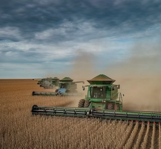 Firefly_Cinematic aerial view of a combine harvester working in a vast soybean field, golden 78167