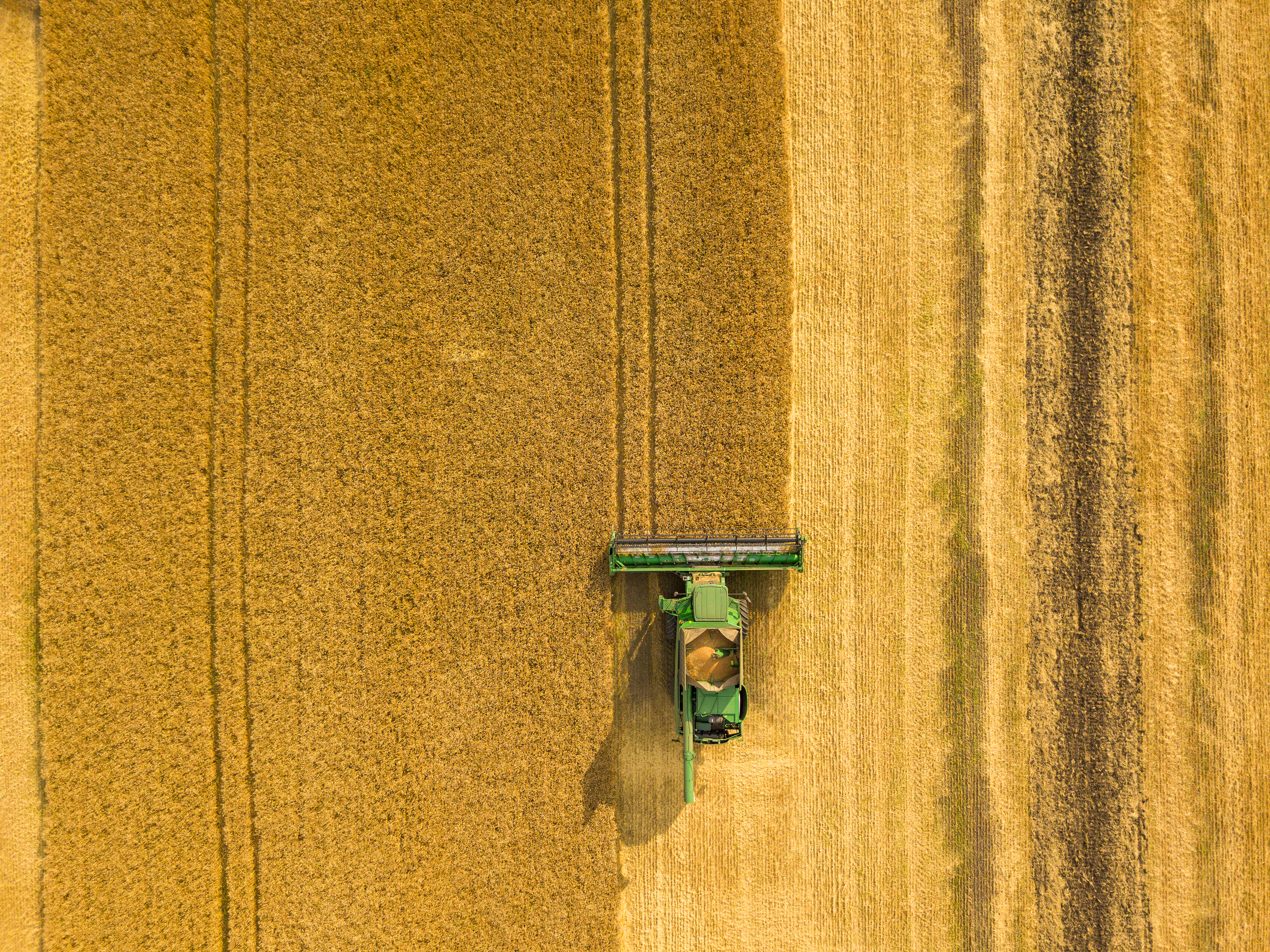 Silo e tratores